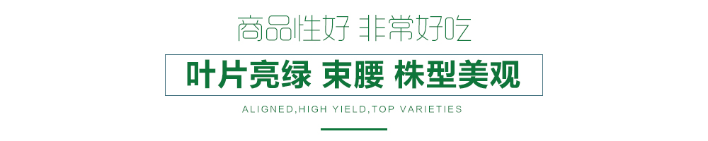 1557882885224350.jpg 詳情頁12.jpg