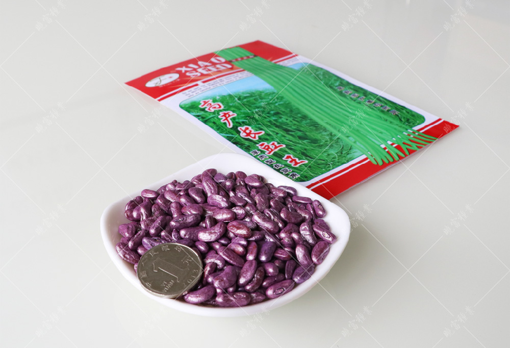 1557970078529788.jpg 未標題-1.jpg