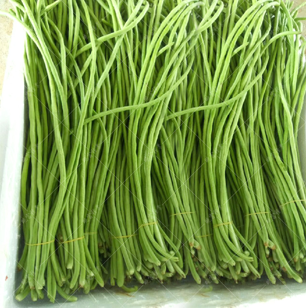 1558056252102475.jpg 53.jpg