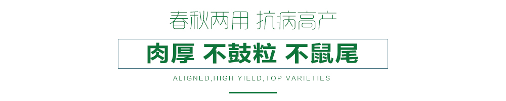 1558056259205092.jpg 詳情頁21.jpg