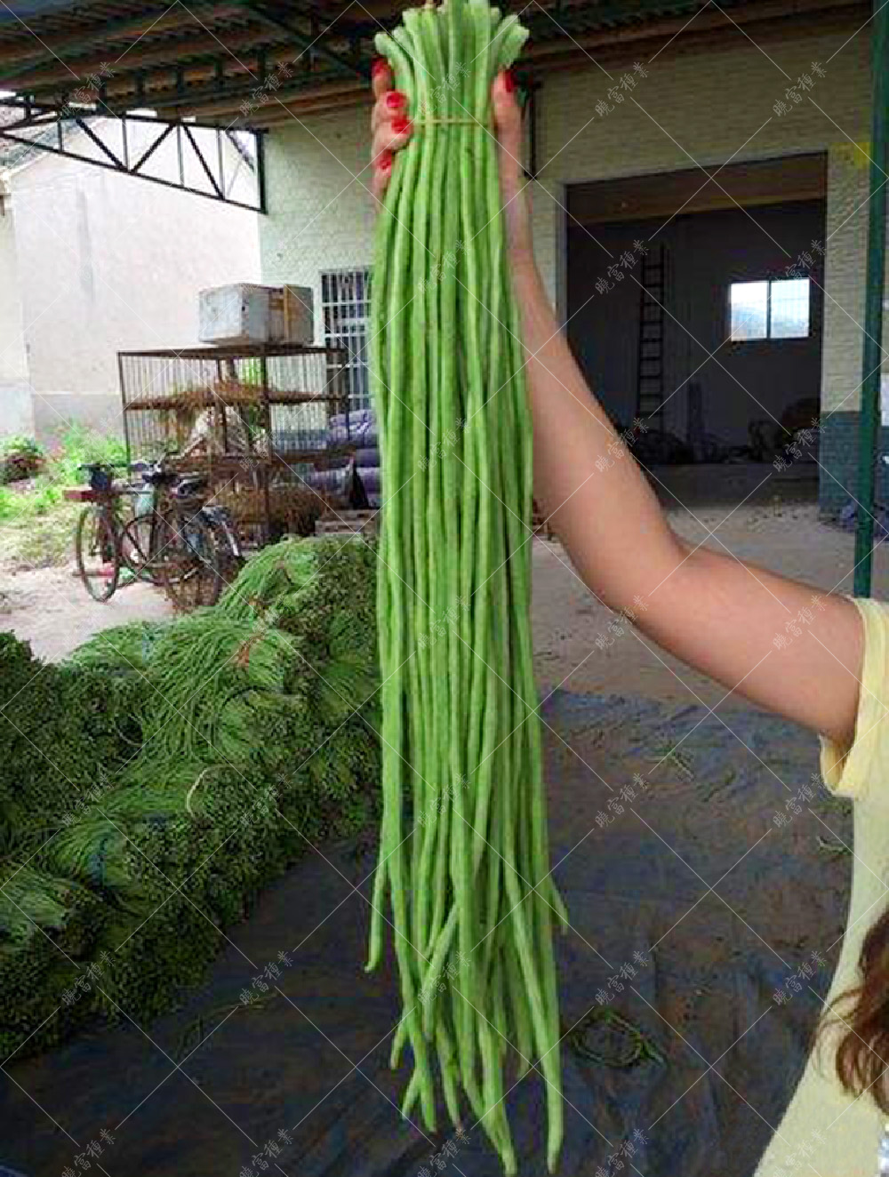 1558056938500409.jpg 51.jpg