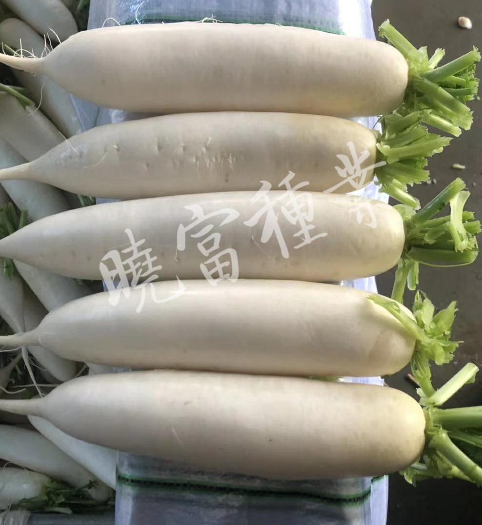 1585790073494136.jpg 08.jpg