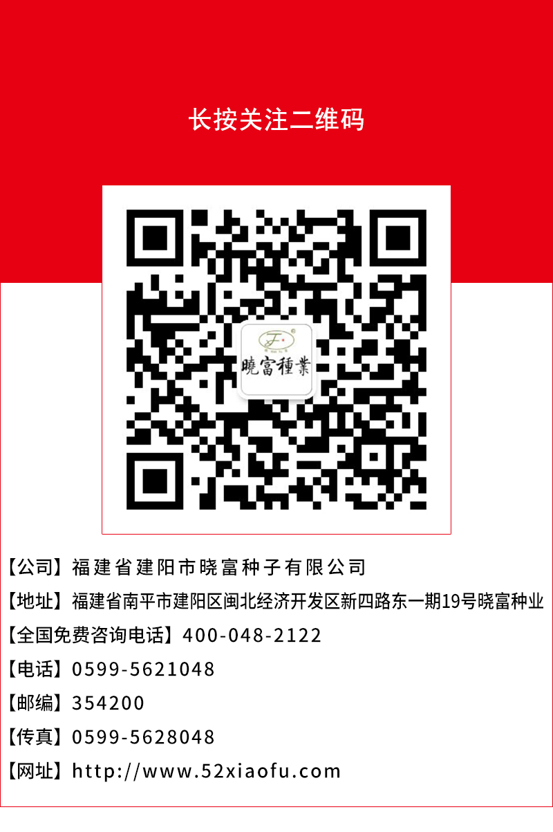 1602036245204313.jpg 頁(yè)底.jpg